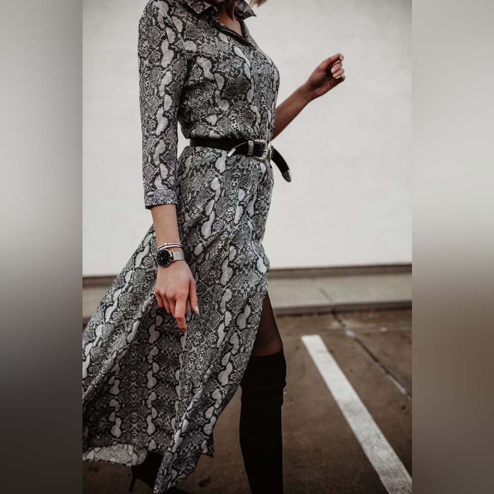Zara Snakeprint Maxi
